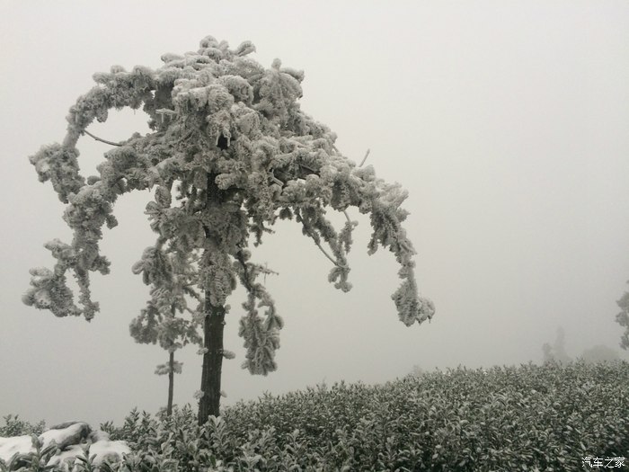 富阳安顶山雪景图片