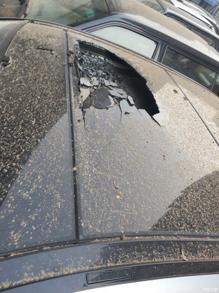 早上风好大有东西掉下来了