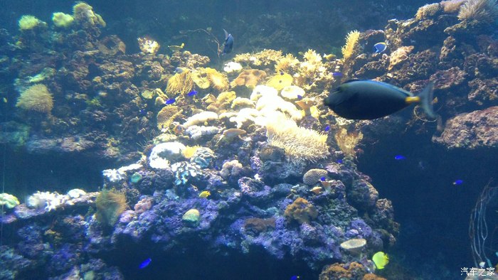 唐山宝骏730车友山东南京游记