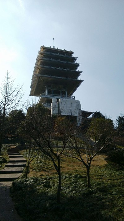 杭州超山,塘西,临平山一日游.