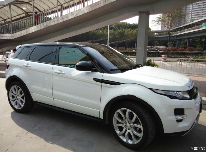 意外喜提2015黑顶大白虎