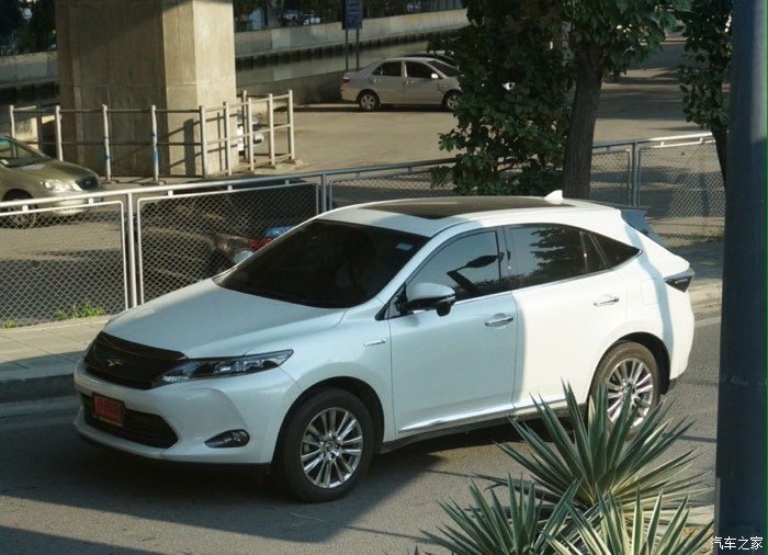 本田-思域 在路奔驰着那个酷逼,羡慕噶.