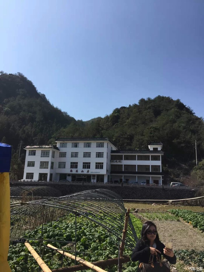 赏梅季节已到来温州永嘉梅岙村一天游