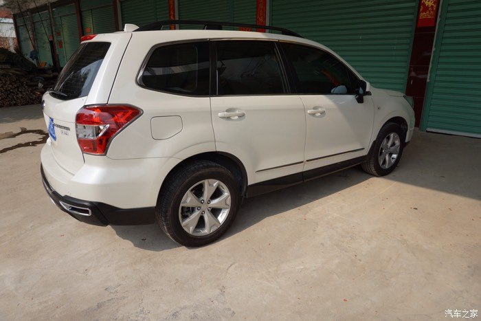 求认证森林人白色