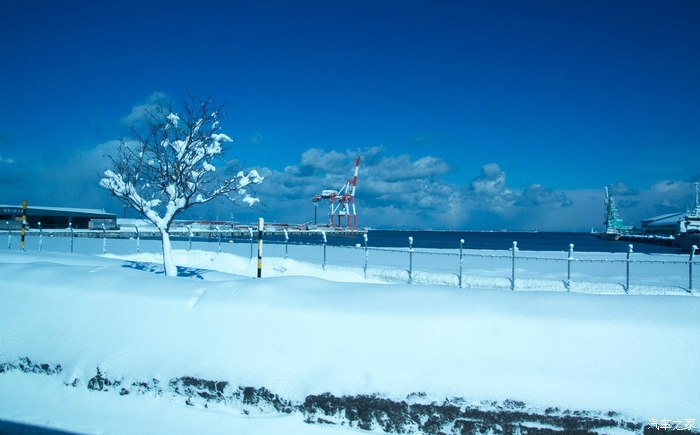 发几张北海道小樽的雪景