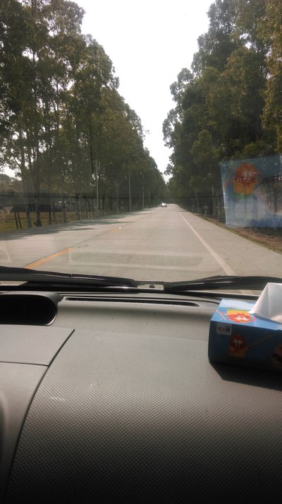 2月16日(农历28)深圳出发至惠州南昆山、龙门