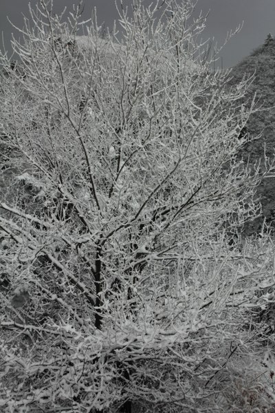 大年初三游蟠龙山长城,雾锁群山,狂风暴雪,山舞银蛇,雪照云光