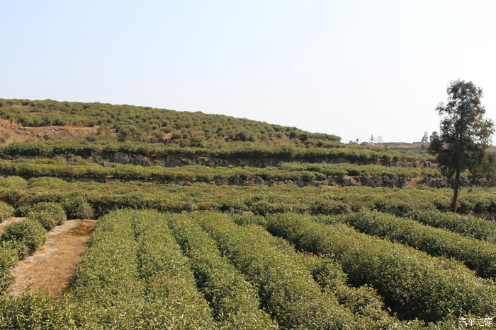 台州的后花园--临海兰田乡