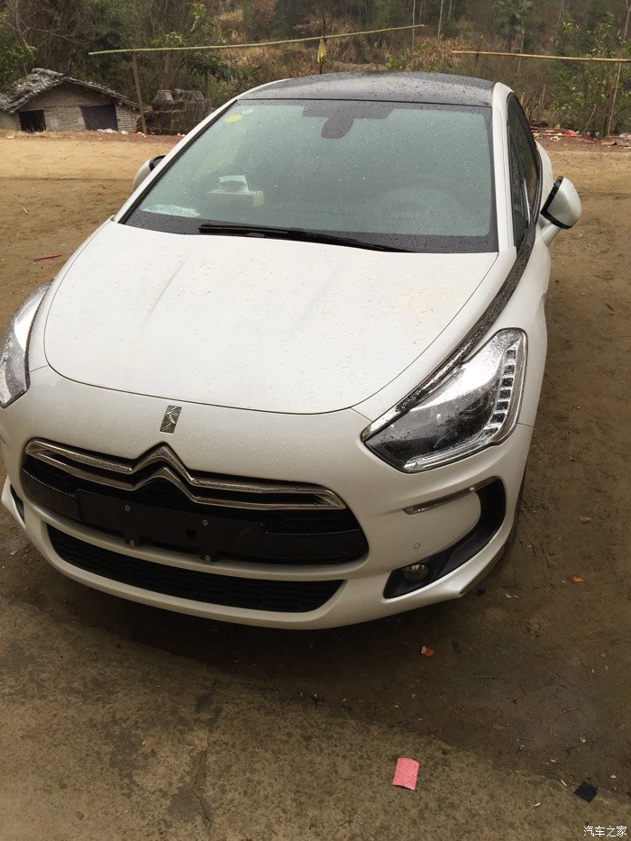 卓越版白色ds5认证帖