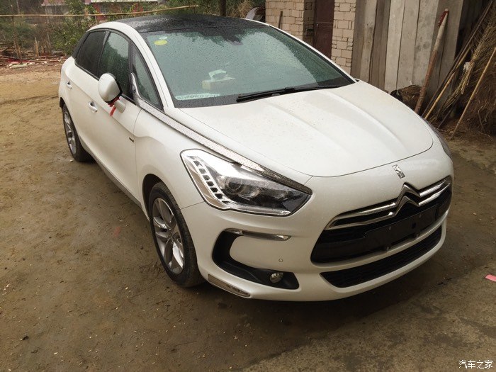 卓越版白色ds5认证帖