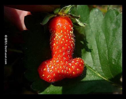 最近没见道哥怪想的