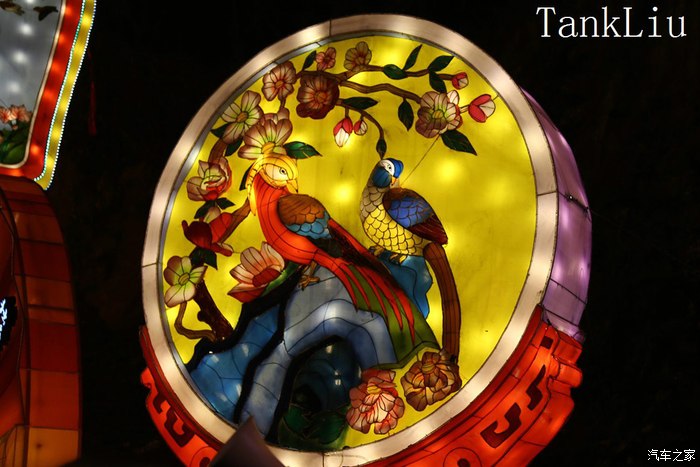 春节探亲旅游随拍之一:自贡的灯会