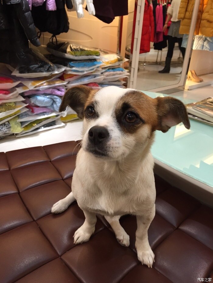  厦蓉速好走吗?美女奉