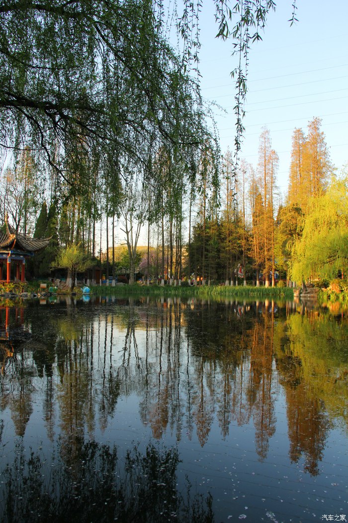 昆明郊野公园走桃花运小拍几张桃花靓照