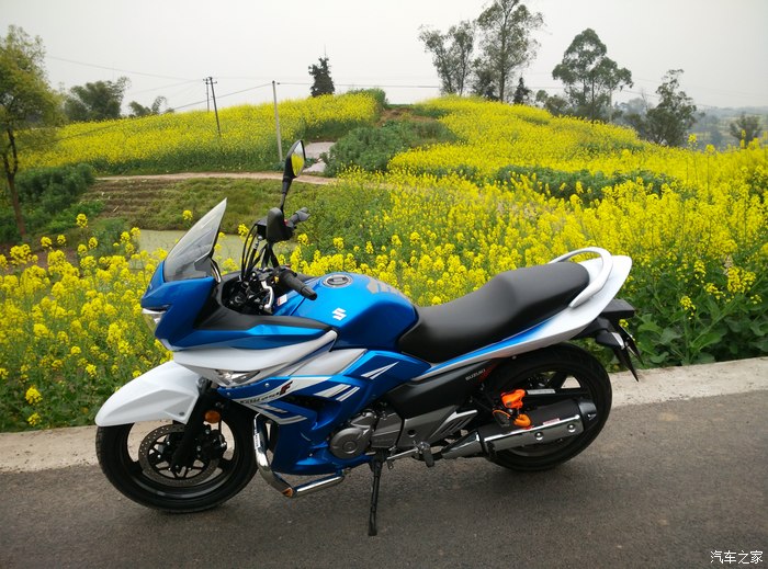 【图】gw250f小跑_摩托车论坛_汽车之家论坛