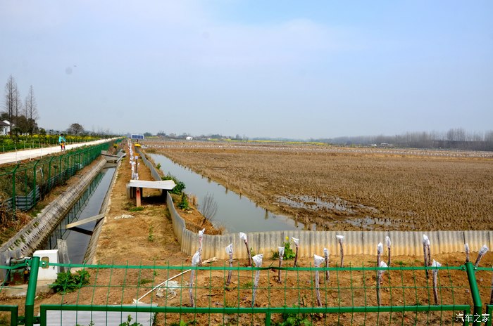 【小伊游记】自驾游路上随拍《农谷》《纪山寺》《紫荆农庄》!