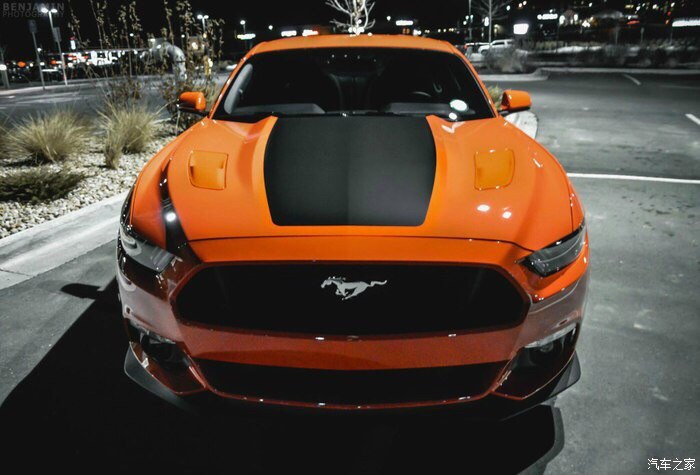 说说拉花拉什么颜色