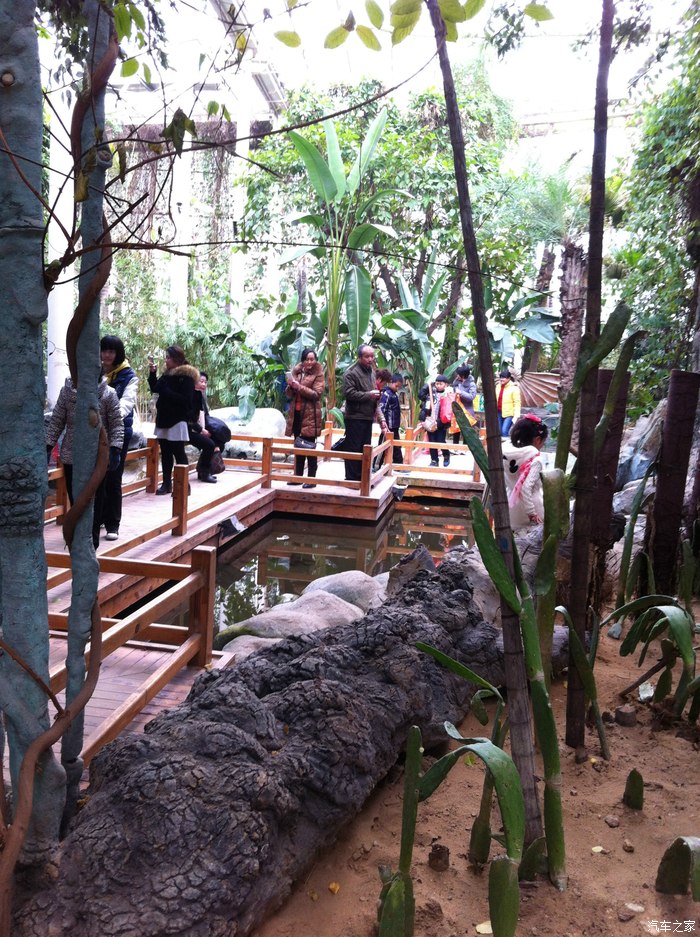 泰山花样年华景区(泰山花样年华景区游玩攻略)