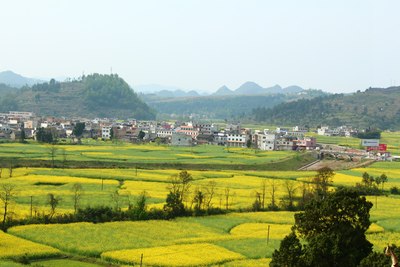 非主流非热点,小山村观千亩油菜花,一样壮观一样安逸