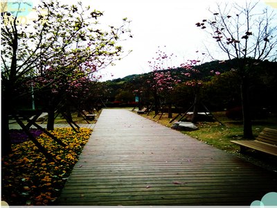 踏春歸來《遊中央山公園》