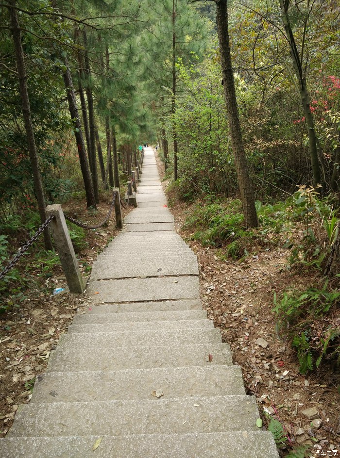 今天自驾游冷水尖