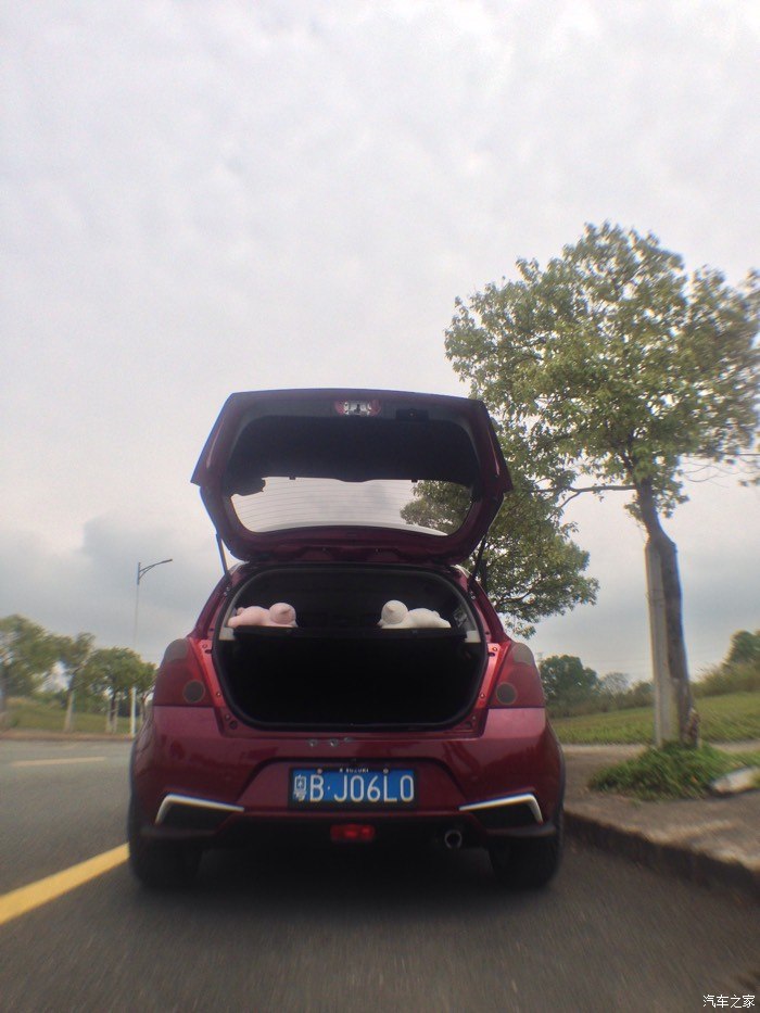 猪肝红8888公里放一组图留影纪念一下,_雨燕/速翼特论坛_汽车之家论坛