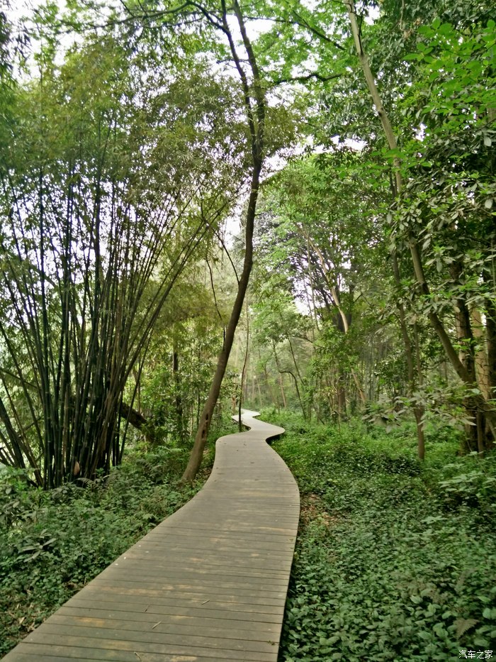上栗斑竹山森林公园图片
