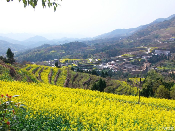 【图】在去陕南_陕西论坛_汽车之家论坛