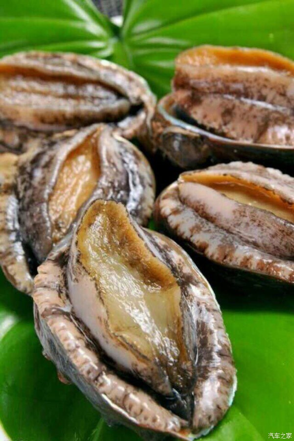 我要很认真的讲一个很严肃的事情