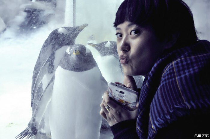 面朝大海期待春暖花开大连3日自由行