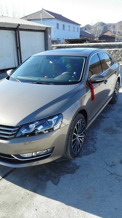 新帕钛金色贴黑顶谁有图_帕萨特论坛_手机汽车之家