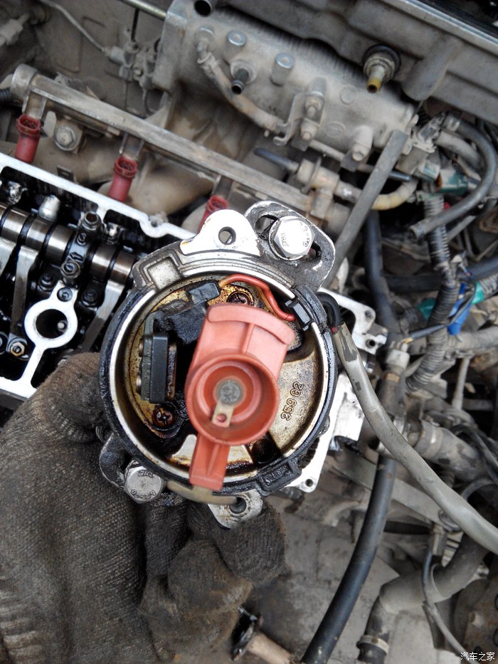 关于羚羊分电器的安装兵哥有话说