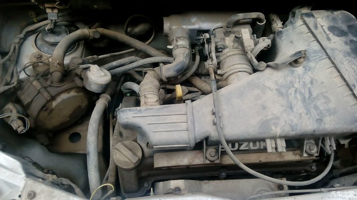 星星烧气怂的厉害