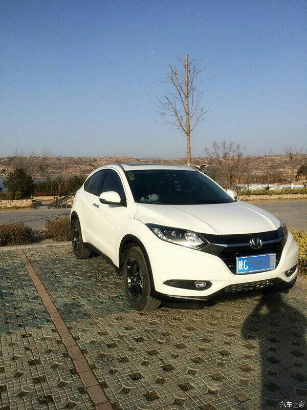 选缤智还是雷凌呢?