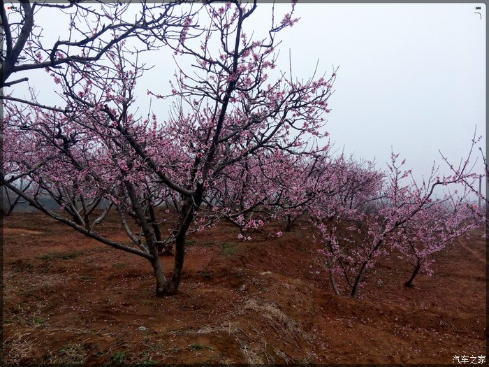 【疯狂泰山】甘做爱情的俘虏·泰山车友小聚看