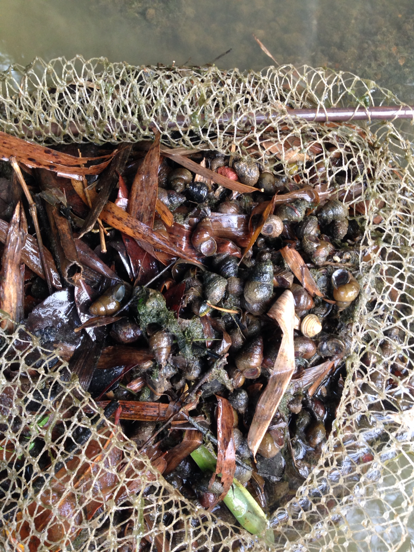 增城山区野味_广东_手机汽车之家