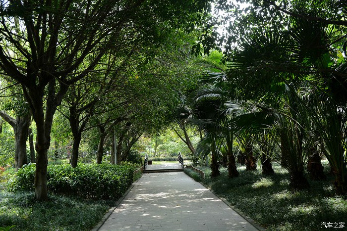 金牛公园耍一盘