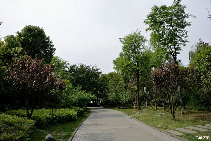 金牛公园耍一盘