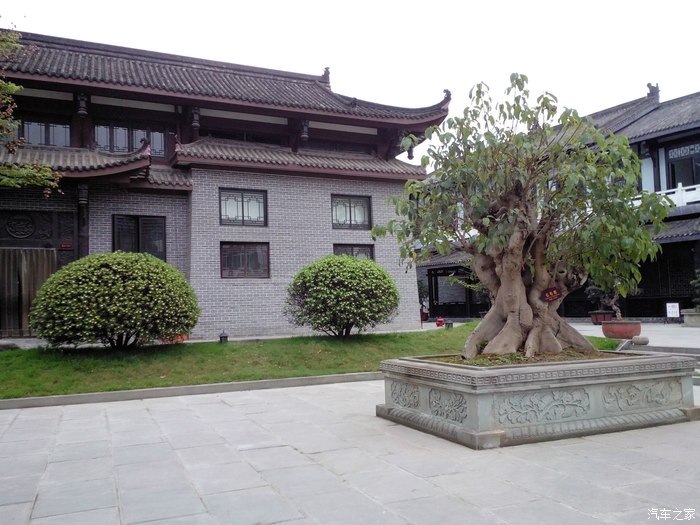 晒自驾张飞牛肉保宁醋古城美女清明阆中游