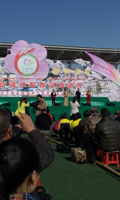 伊宁县杏花节演出现场()