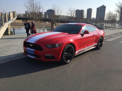 20150311 今日跑去拉花 (鬼天气)_野马论坛_手机汽车之家