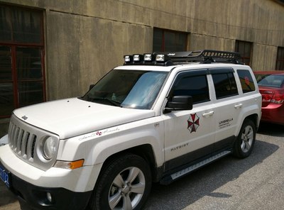 自由客车友提的都是什么颜色的车,大家都来发个图吧.