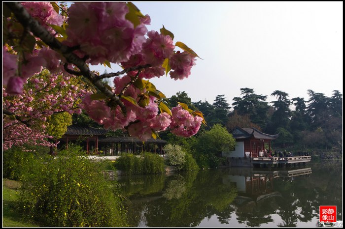 南京繡球公園