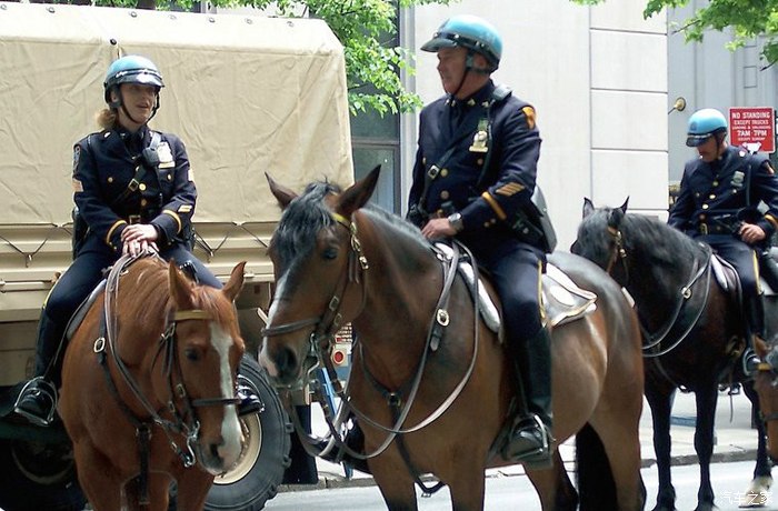 【图】香港警方铁马_摩托车论坛_汽车之家论坛