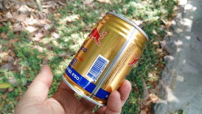 缅甸的红牛,景点只卖5元