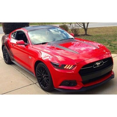 喜欢拉花的可以看看_野马论坛_手机汽车之家