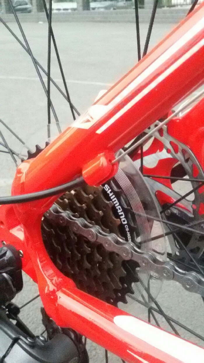 补作业公爵600红白