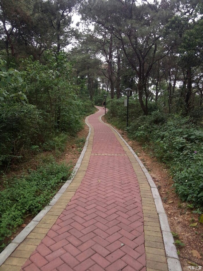 花都飞鹅岭山顶公园休闲好去处