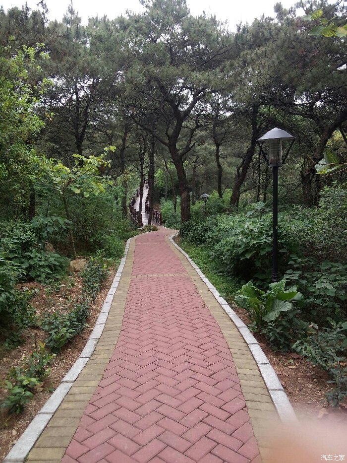 花都飞鹅岭山顶公园休闲好去处