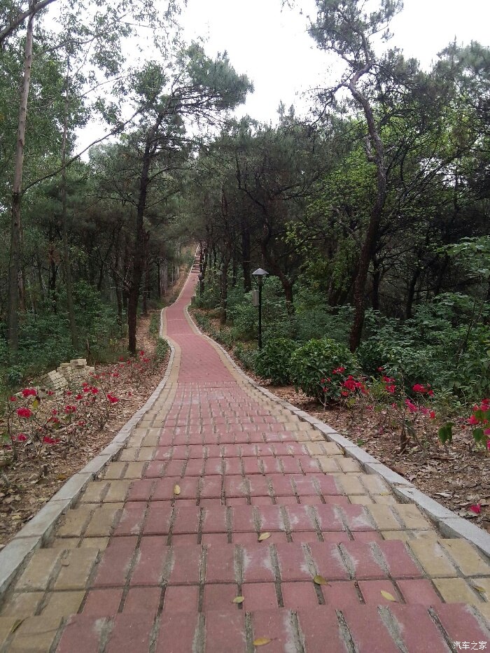花都飞鹅岭山顶公园休闲好去处